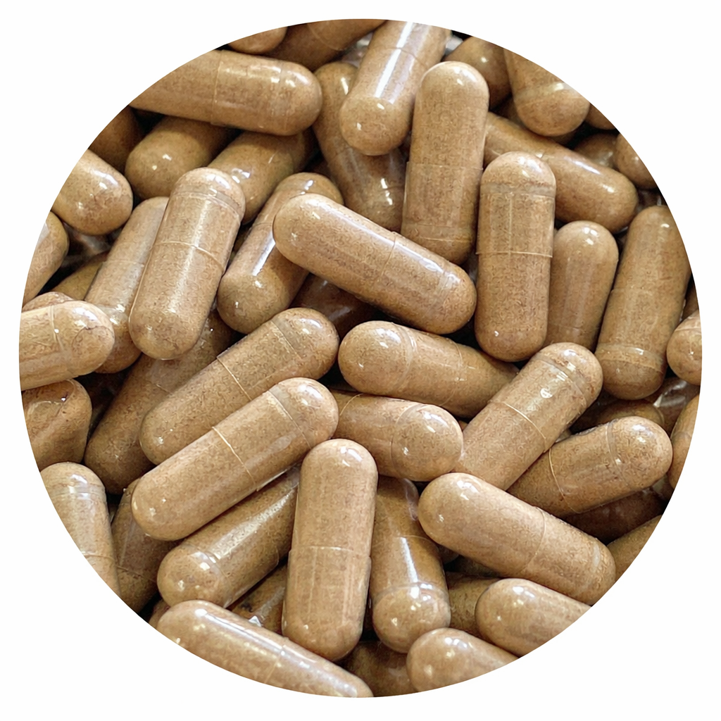 Cordyceps Capsules - Biologisch