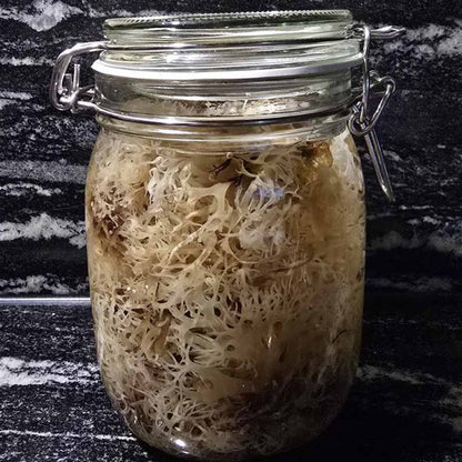 Irish moss (Iers moss) - Organic