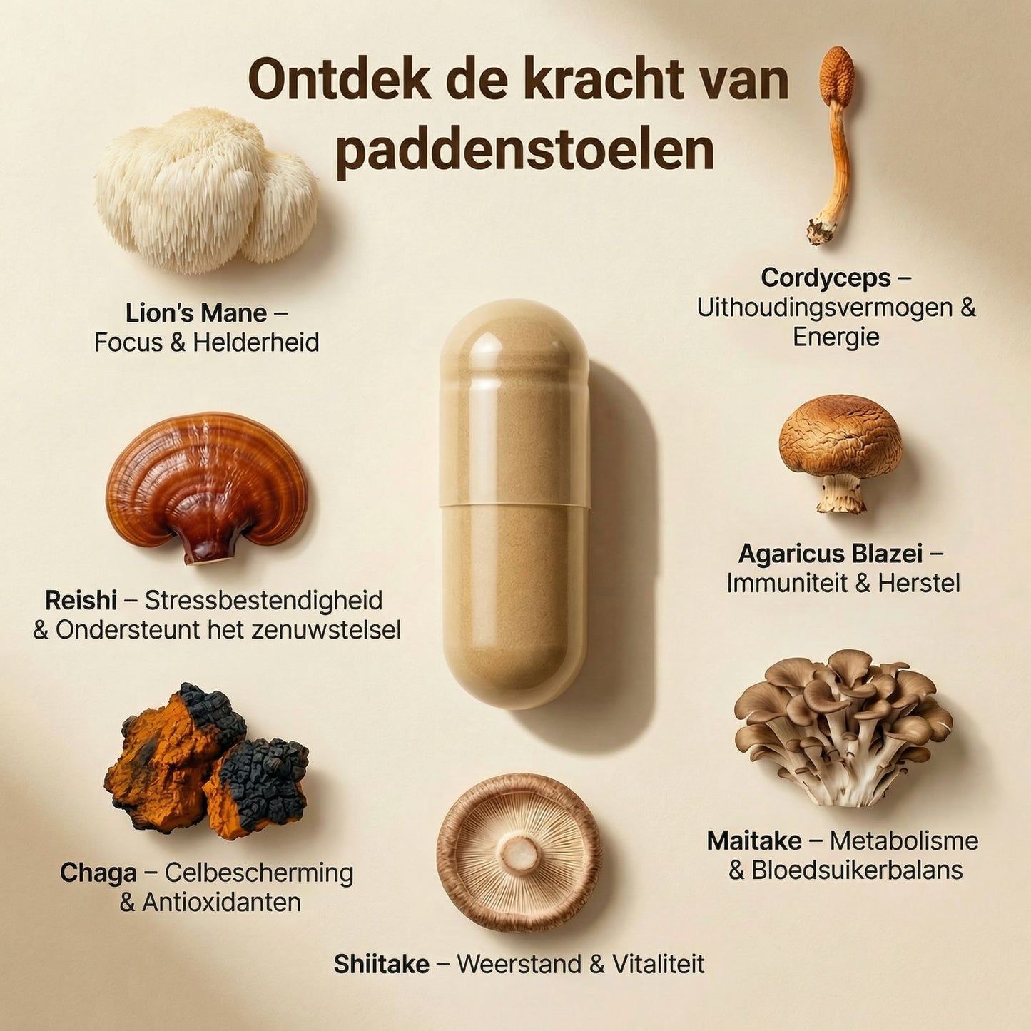 7 Paddenstoelen Mix Capsules – Biologisch